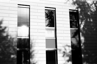A freshly painted exterior wall with crisp black and white contrast under natural light.