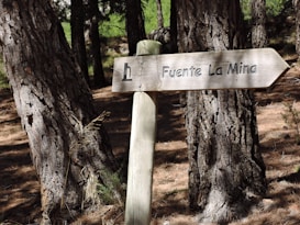 A wooden directional signpost pointing to the right with the text 'Fuente La Mina' carved into it. The sign is located in a forested area with tall trees and a forest floor covered in pine needles and small plants.