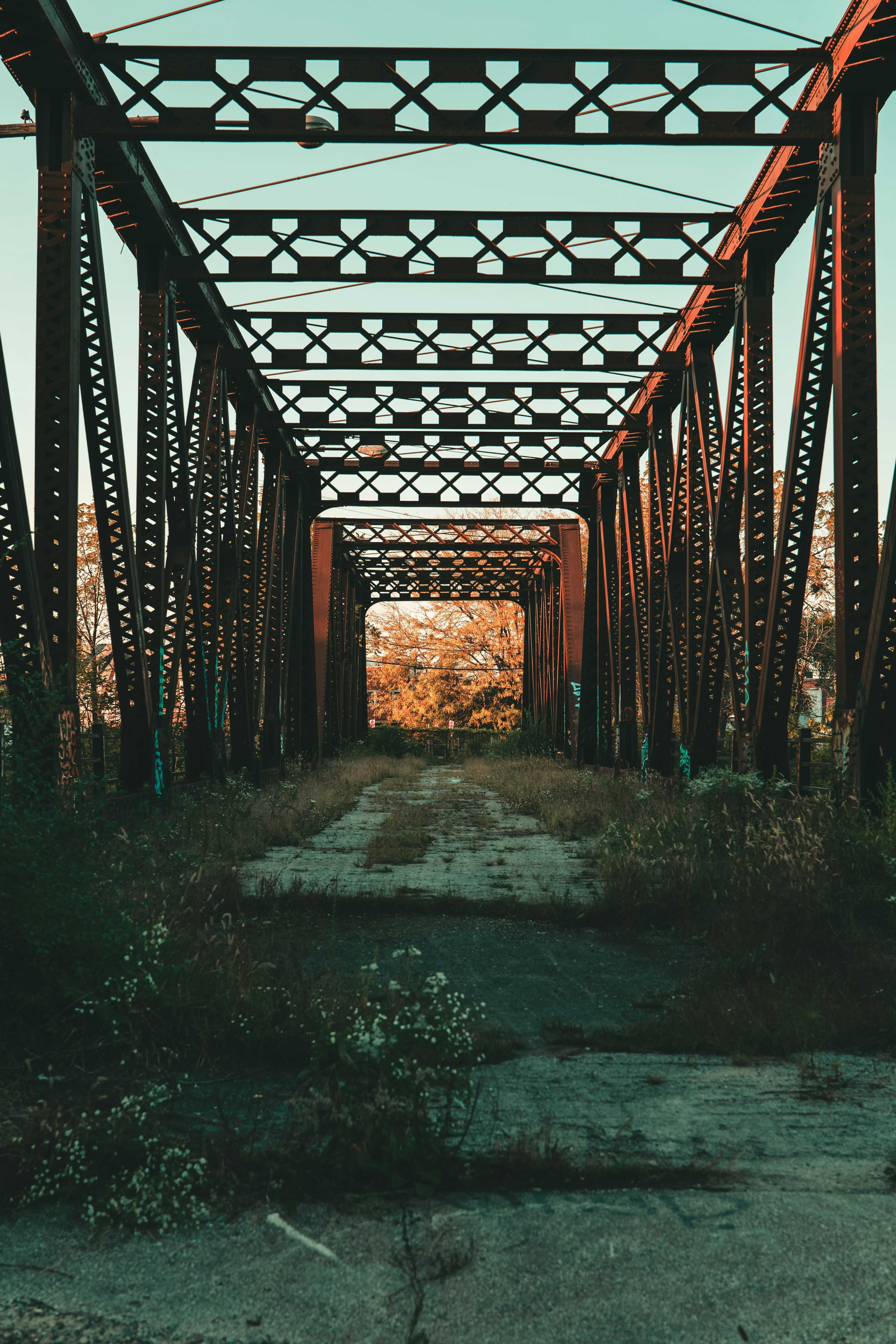 Photo by infoxicated