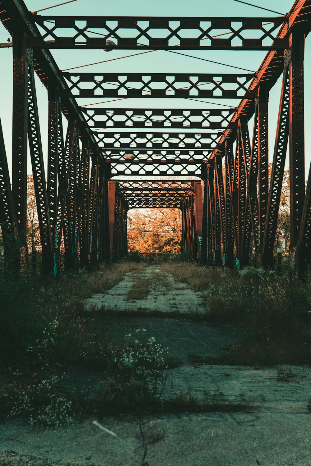 a view of an old bridge from the ground