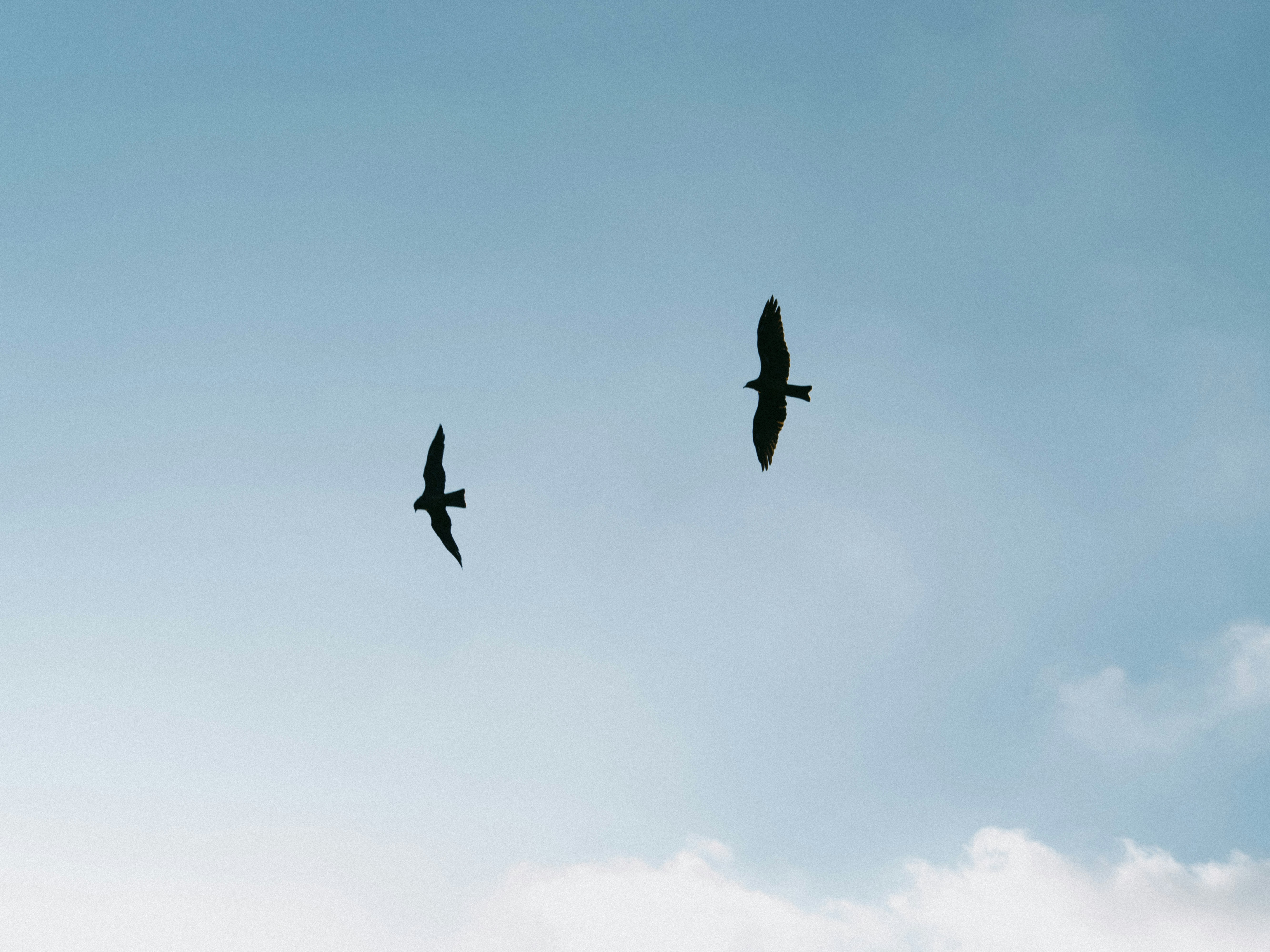 Photo by catgirlmutant