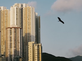 High-rise residential buildings dominate the scene, with a silhouette of a bird soaring in the sky above. The backdrop includes a serene blue sky with scattered clouds and a hint of green from nearby hills.