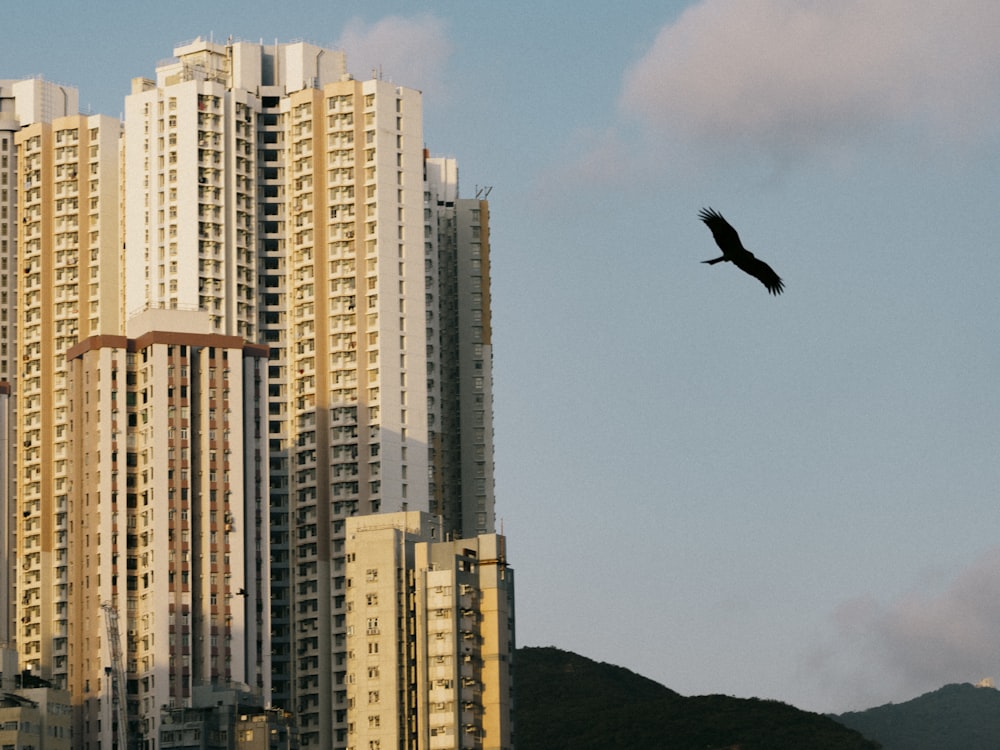 a bird flying in front of a tall building