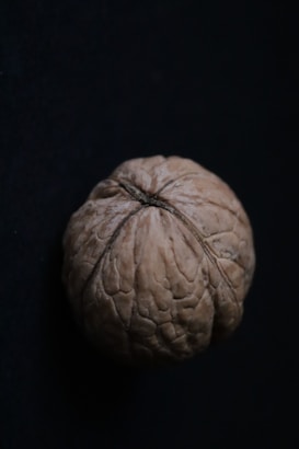 A single walnut with a textured, wrinkled shell sits against a dark background. The details of the shell's ridges and creases are prominent, creating a natural, earthy appearance.