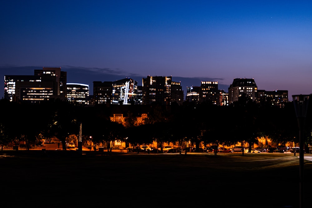 a view of a city at night from a park