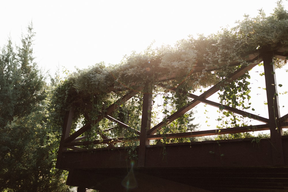 a wooden bridge with vines growing over it
