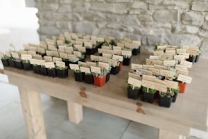 Heirloom Seed Packets