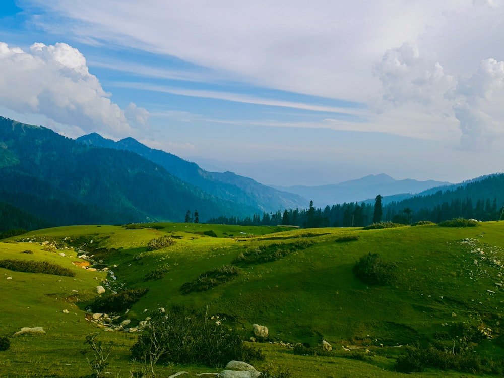 a lush green valley with mountains in the background