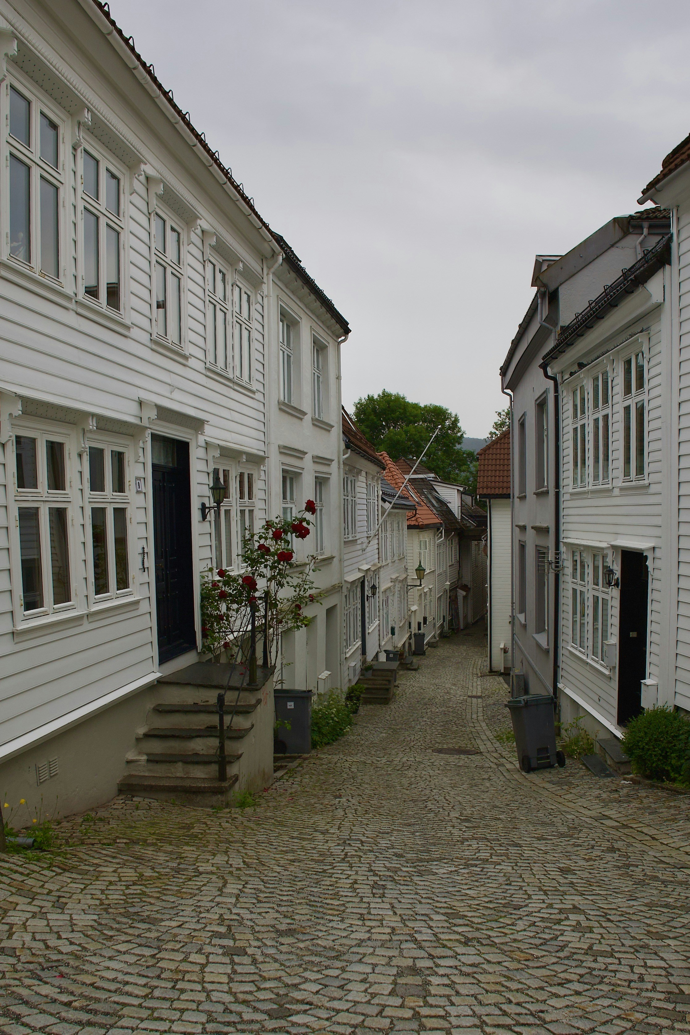 Photo by stockbirken