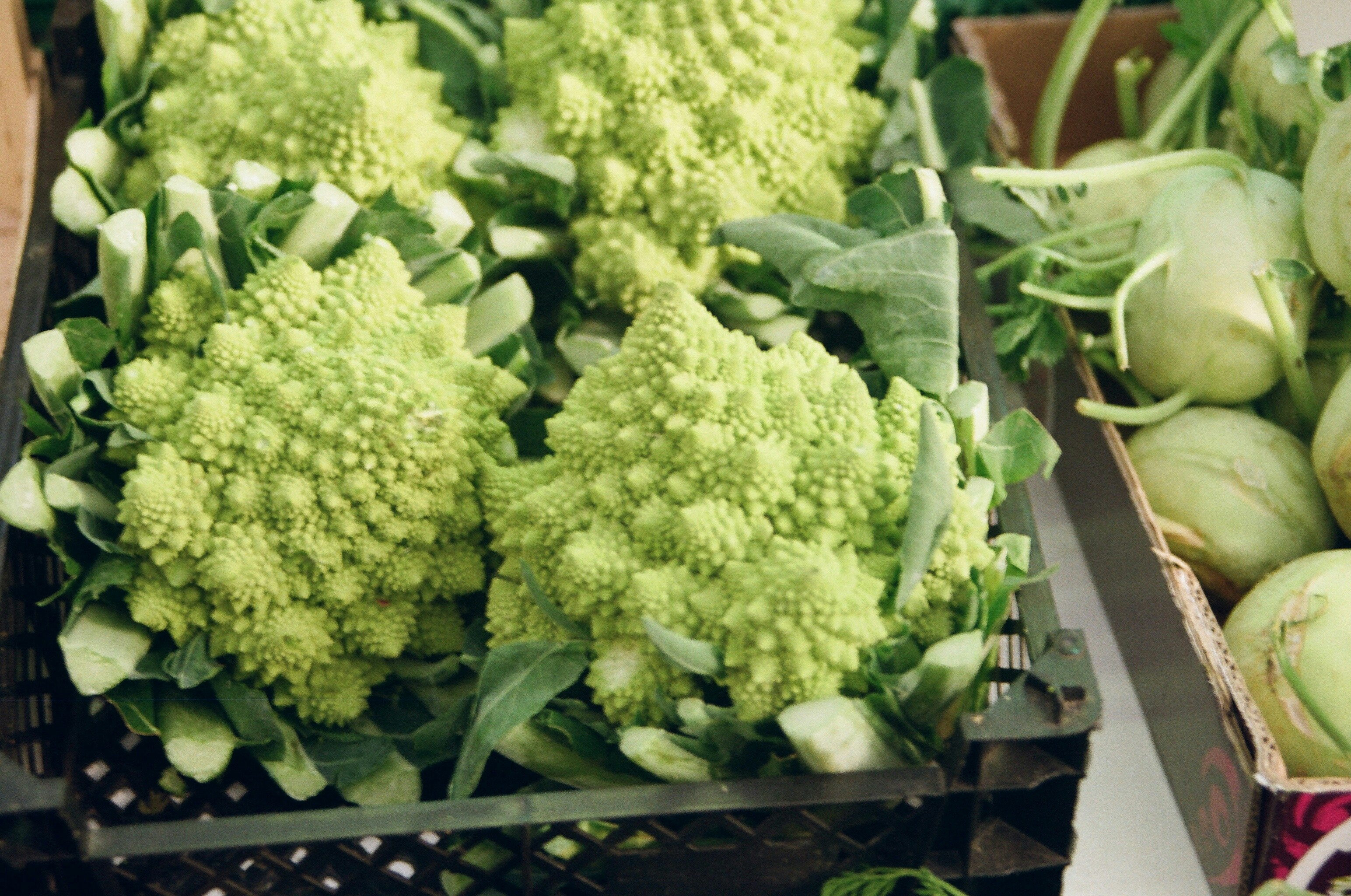 a close up of a box of broccoli