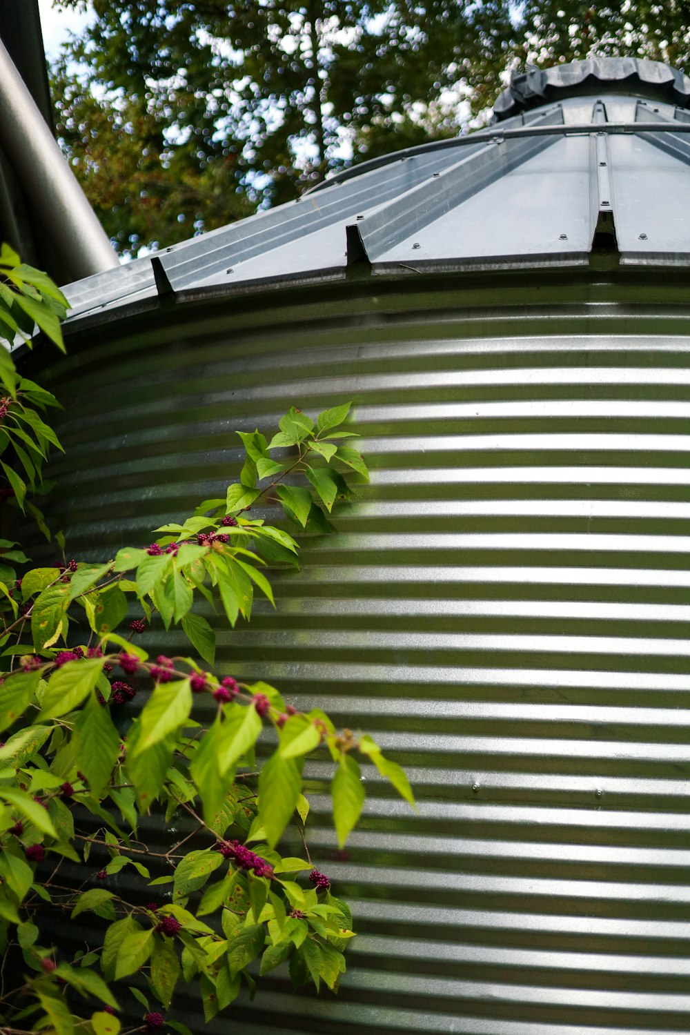 a round metal structure with green leaves on it