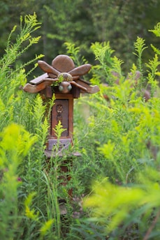A wooden ornament resembling a traditional Asian lantern is partially obscured by tall, vibrant green plants and foliage. The intricate wooden structure is detailed with artistic carvings and ornate decorations.