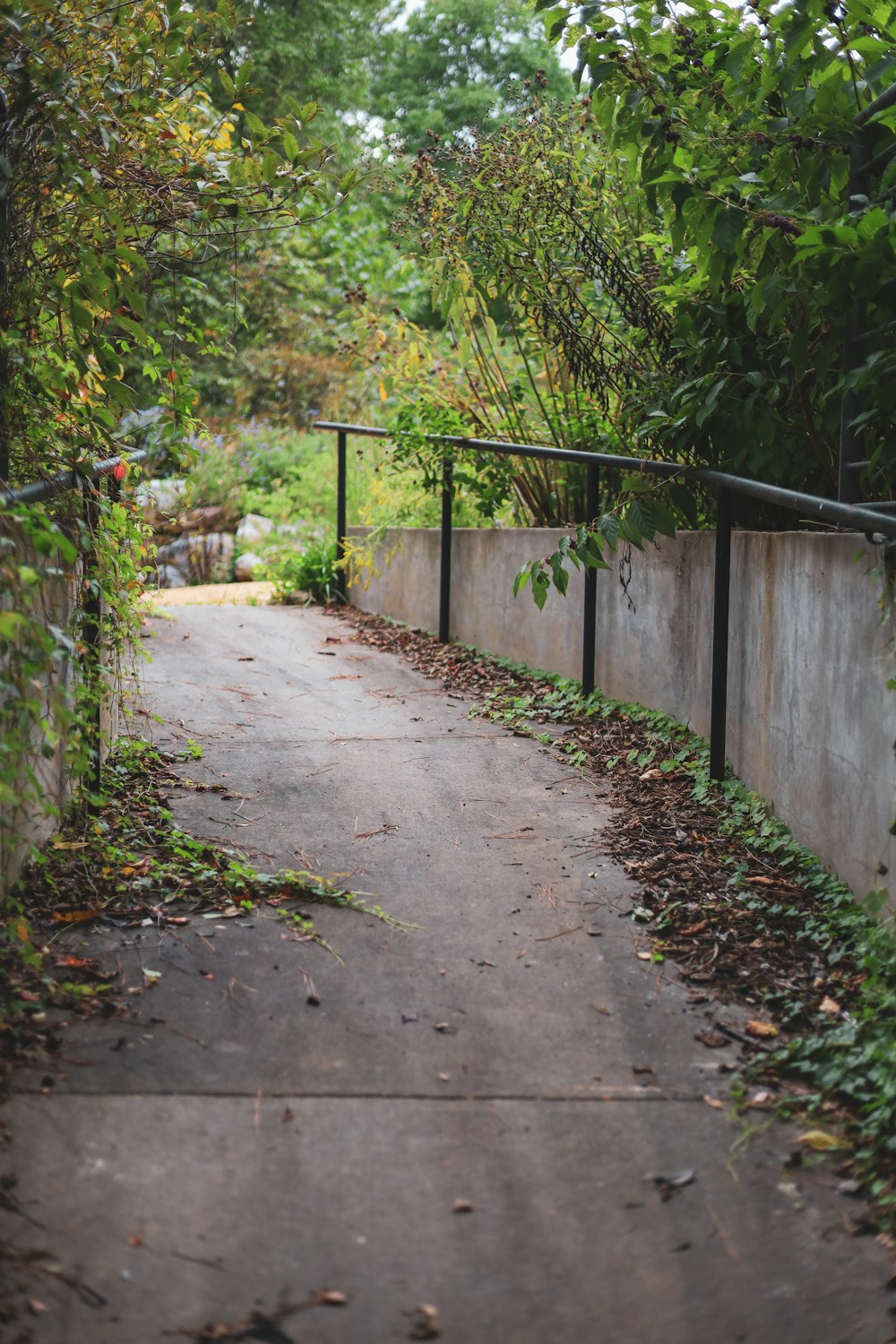 a path that is next to a fence