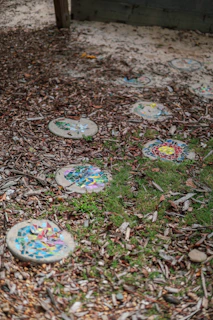 a bunch of frisbees that are on the ground