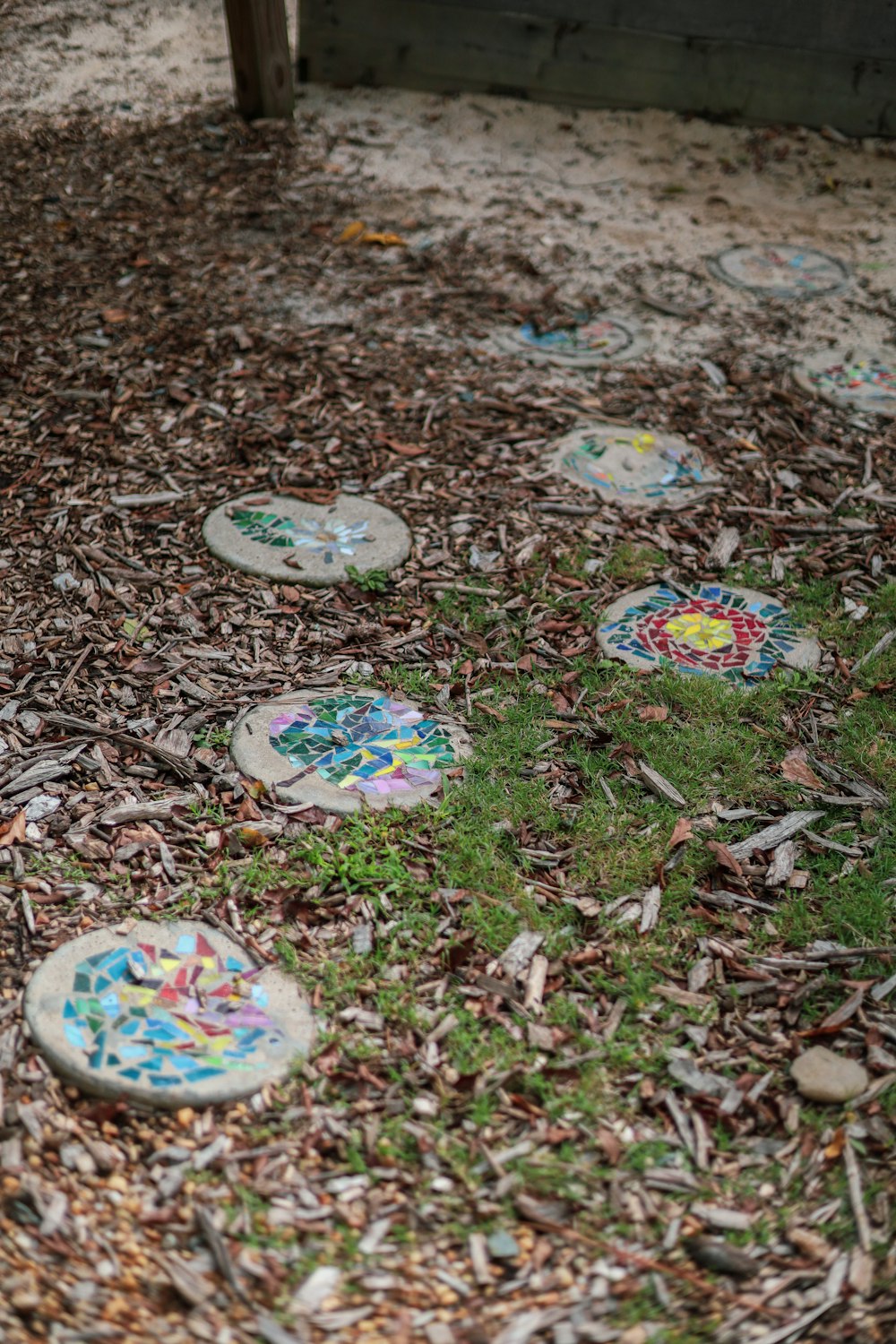 a bunch of frisbees that are on the ground
