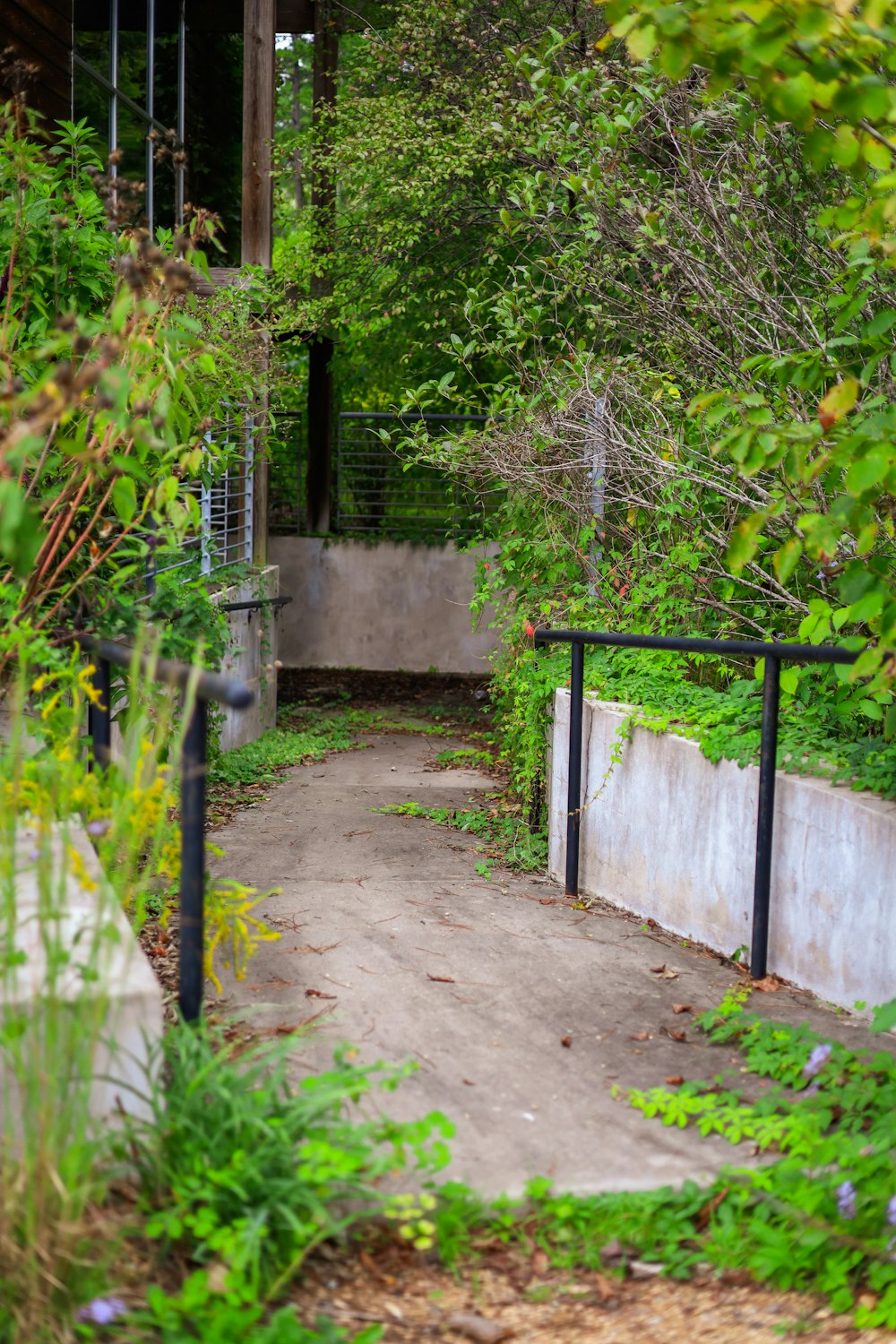 a walkway in a park with trees and bushes