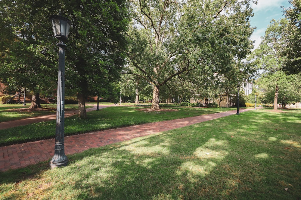 a path through a park lined with trees