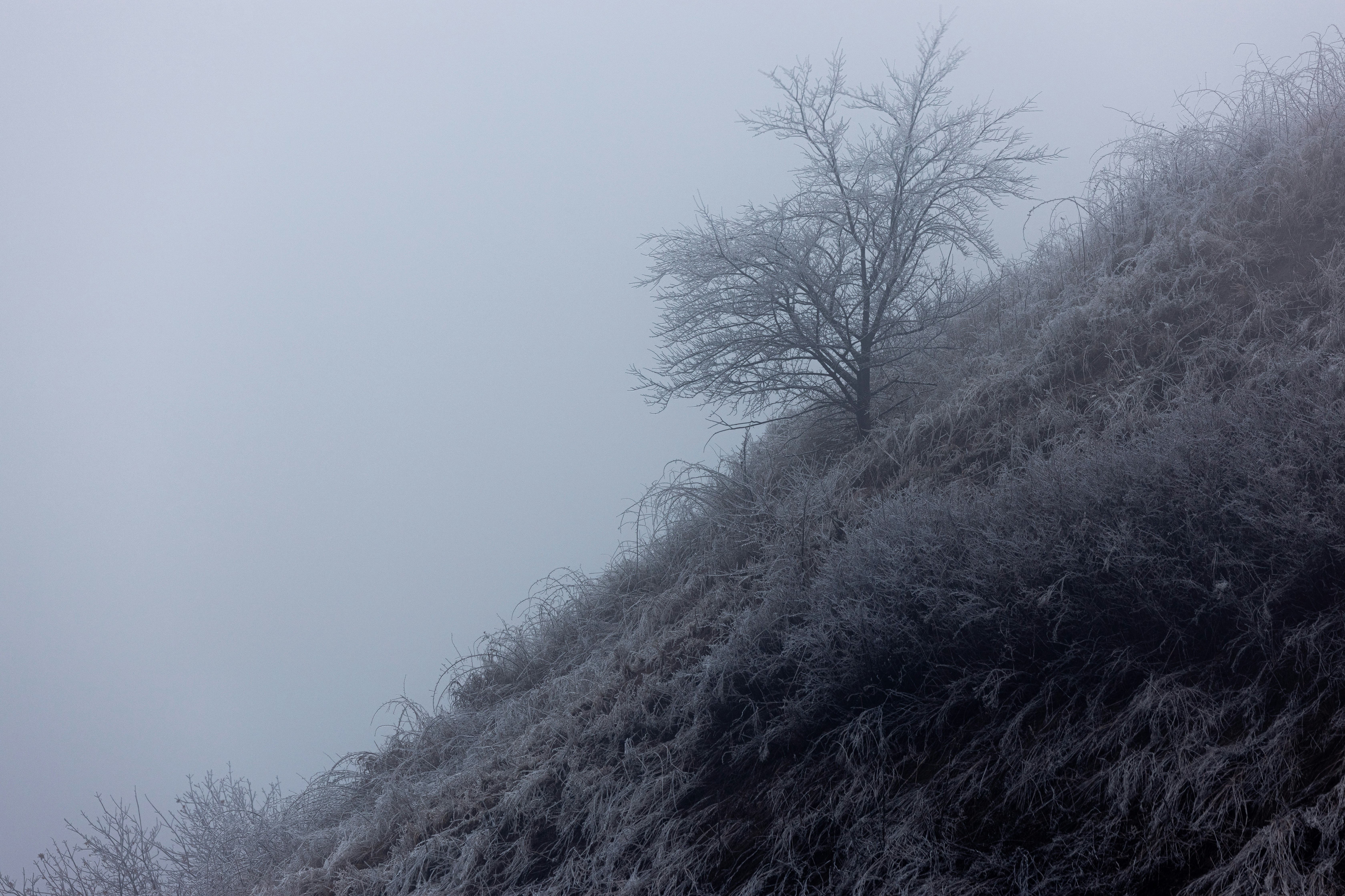 Photo by andrewpetrischev