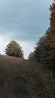 A serene outdoor scene featuring earth-tone fashion pieces blending seamlessly with the natural landscape.