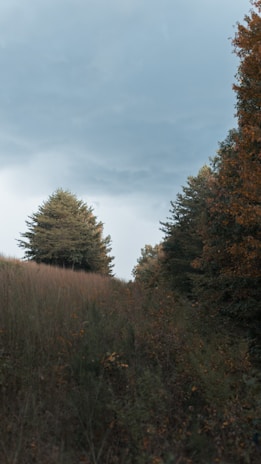 A serene outdoor scene featuring earth-tone fashion pieces blending seamlessly with the natural landscape.