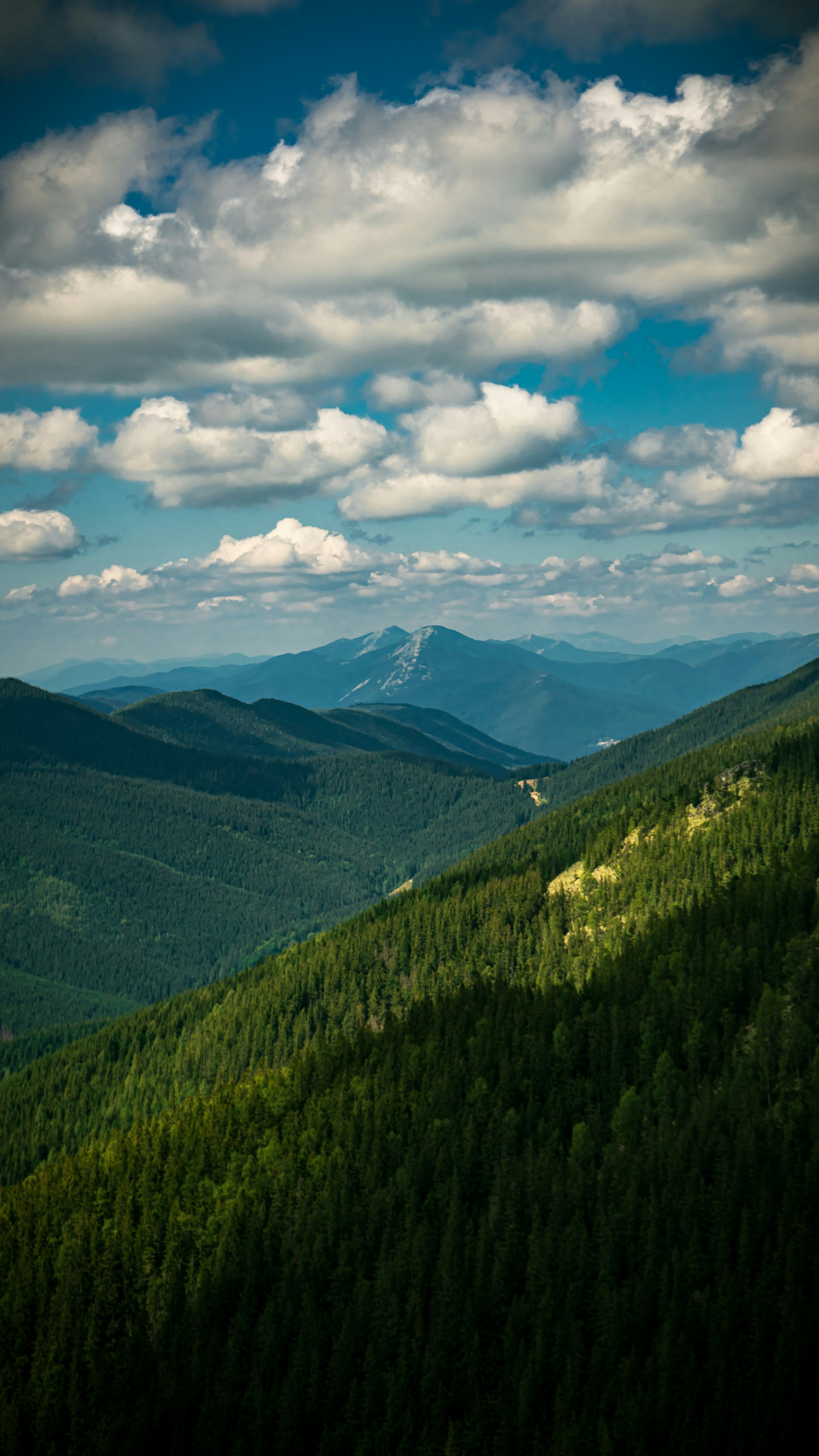 Photo by andriy_myhalkiv