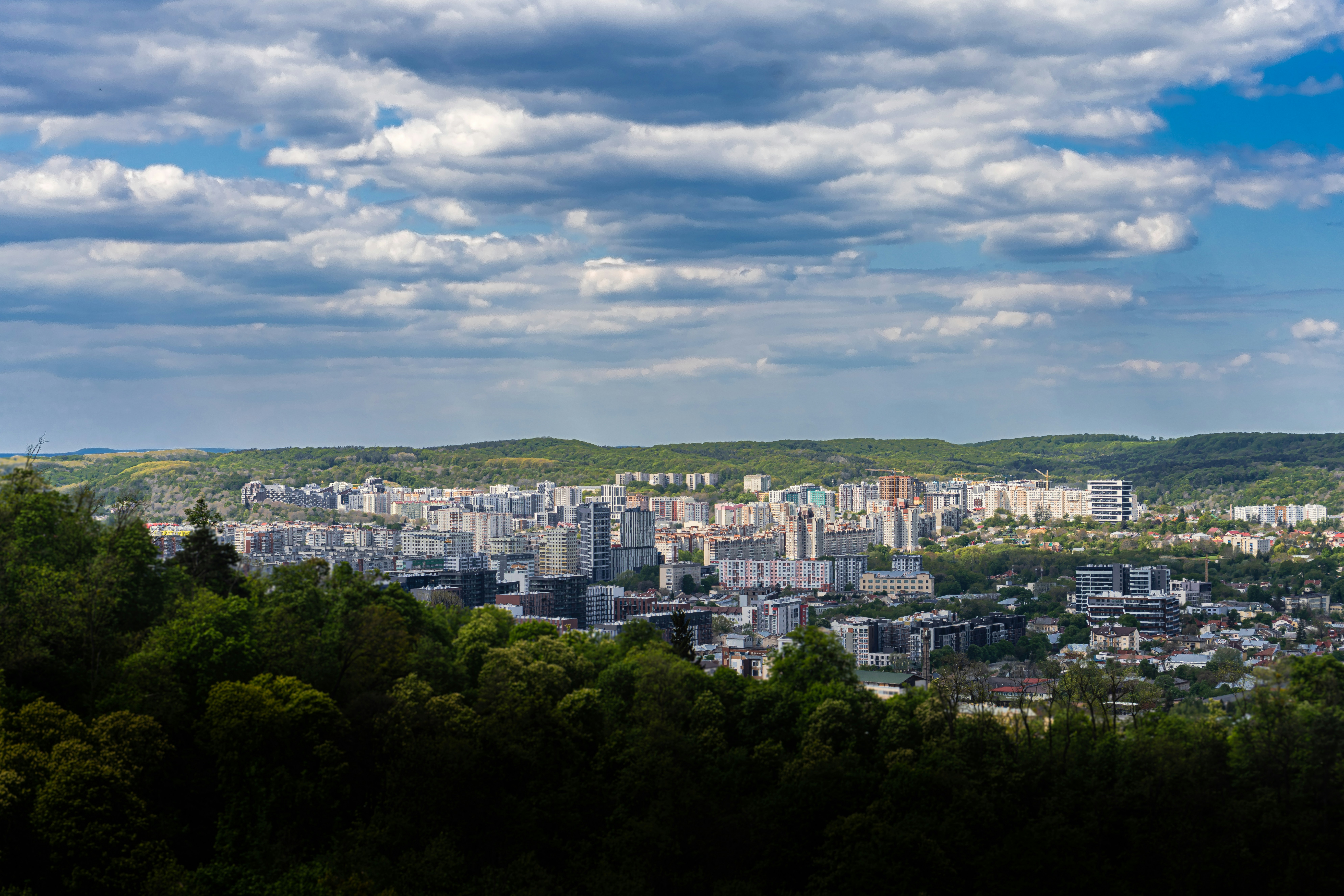 Photo by andriy_myhalkiv