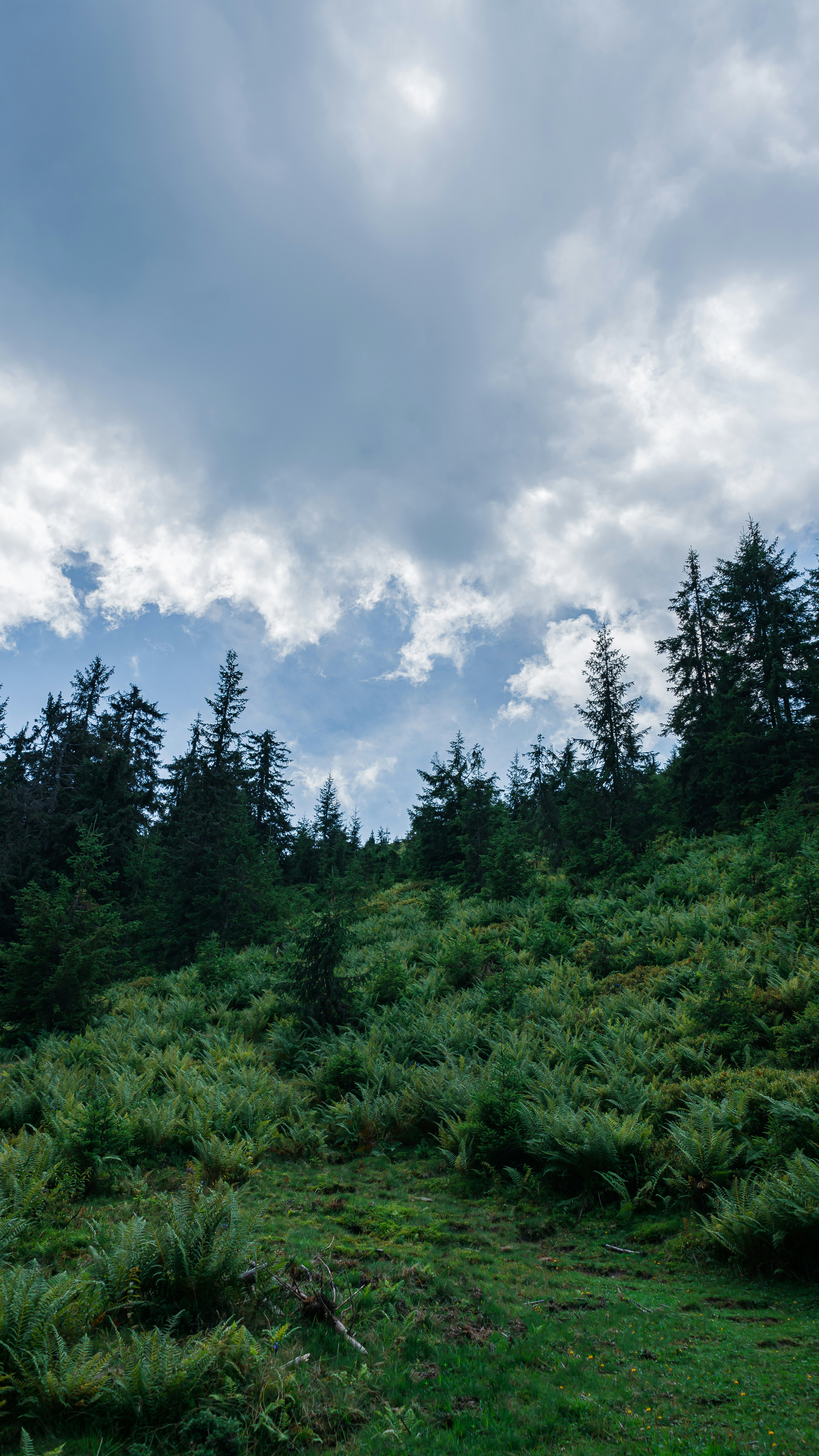 Photo by andriy_myhalkiv