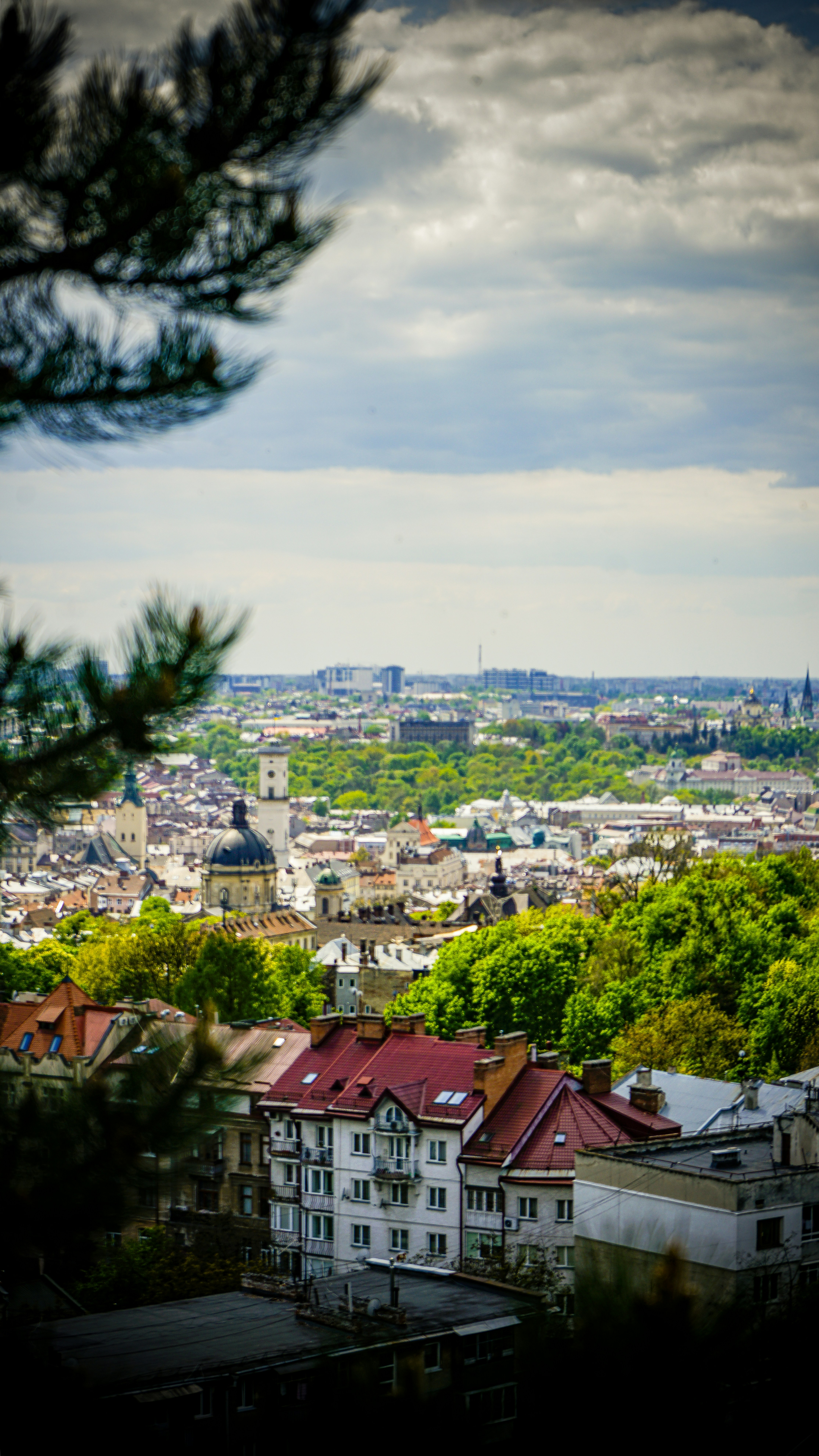 Photo by andriy_myhalkiv