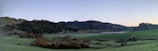 A panoramic view of a natural reserve filled with wildlife.