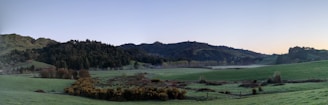 A panoramic view of a flourishing green field with workers tending to plants, surrounded by rolling hills.