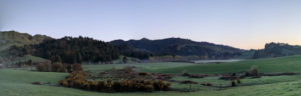 A panoramic view of a flourishing green field with workers tending to plants, surrounded by rolling hills.