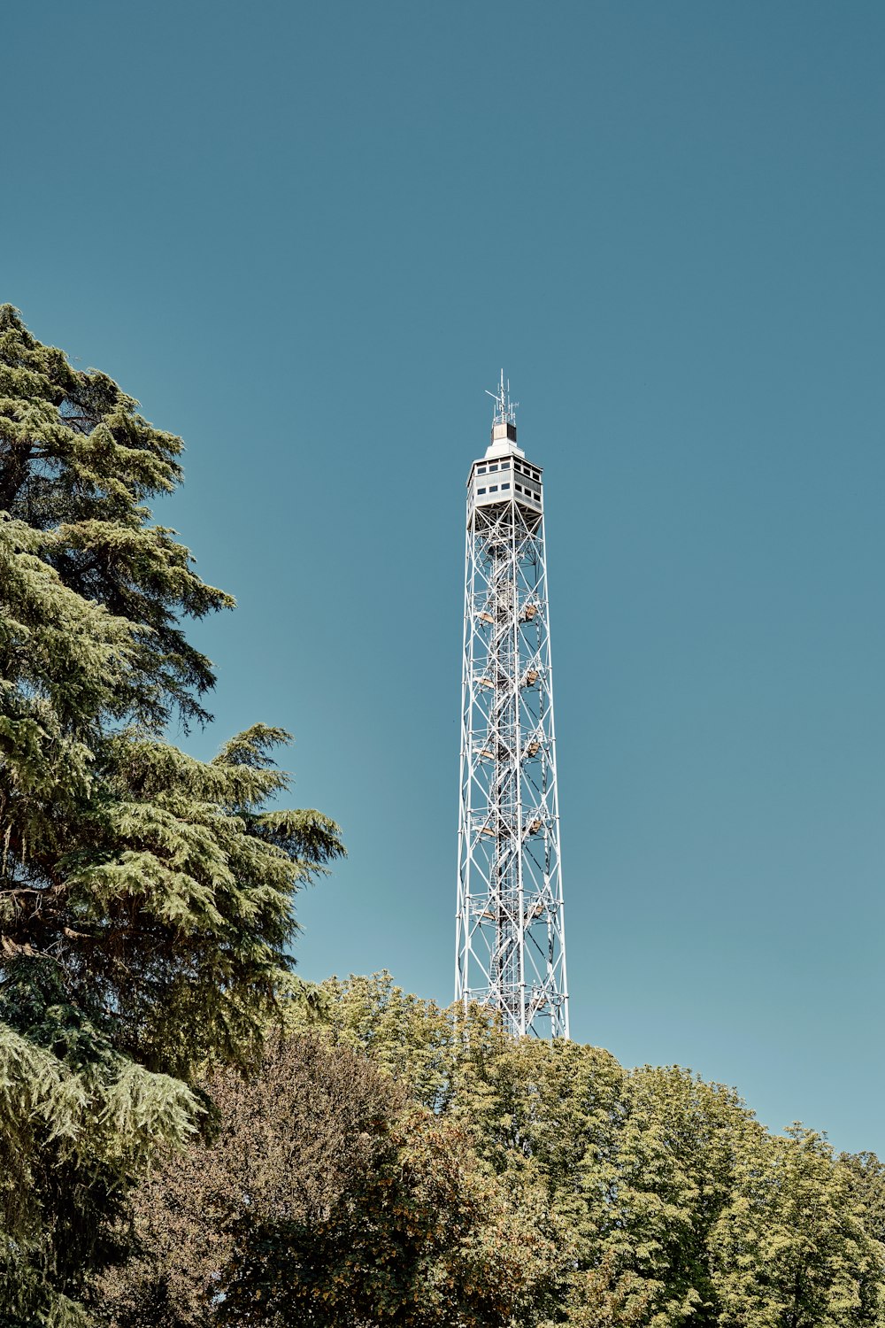 a tall tower sitting above a forest filled with trees