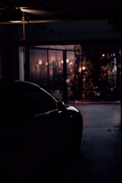 A darkened garage with a sleek black car partly visible on the left side. In the background, a glass partition subtly illuminates a warm, dimly lit room filled with various light fixtures and indoor plants, creating a cozy ambiance.