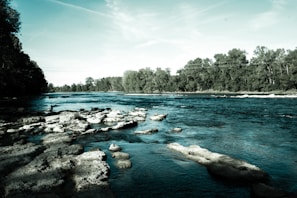 A peaceful nature scene with a flowing river, representing tranquility.