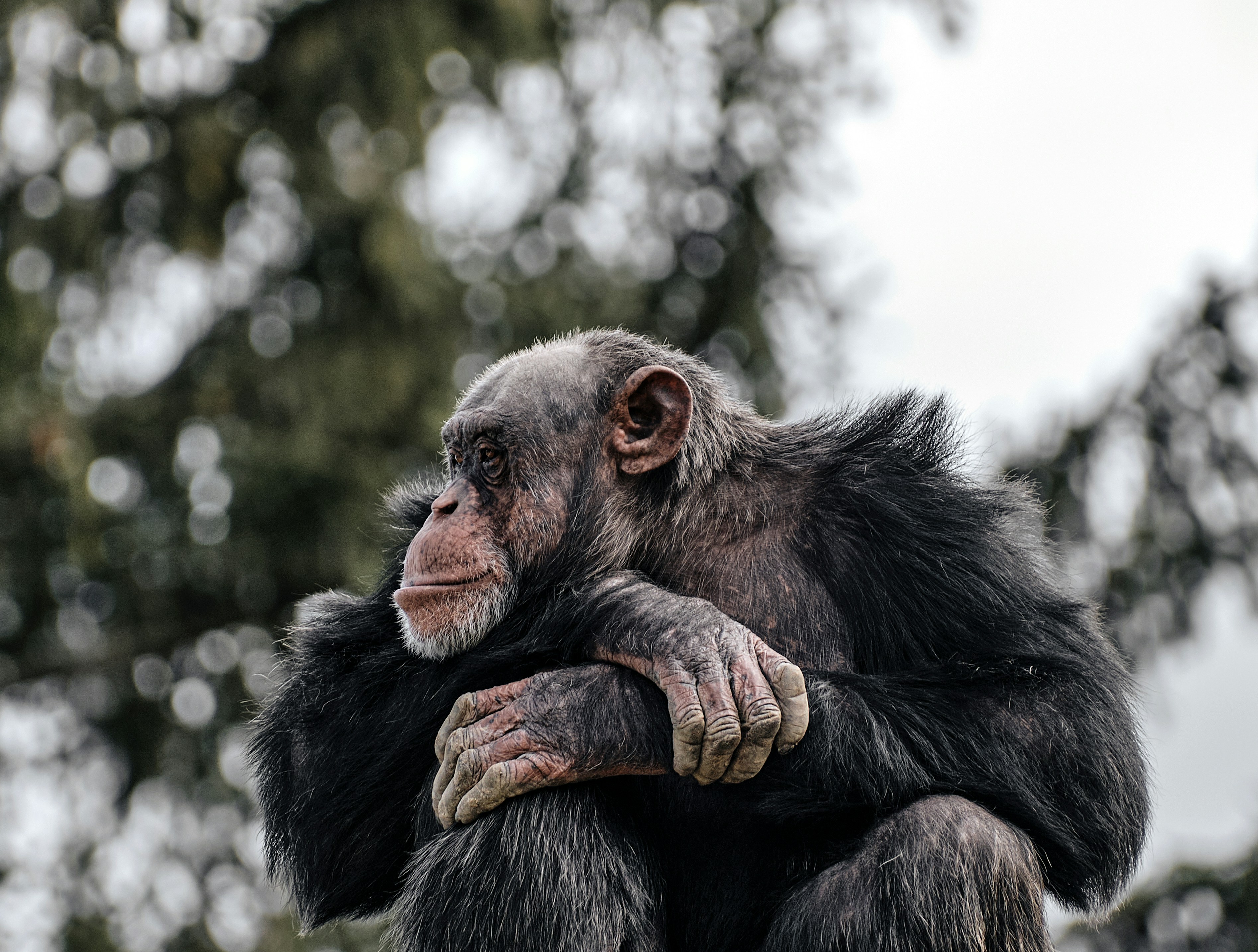 Photo by marcus_ganahl