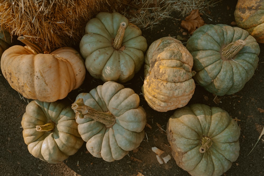 a bunch of pumpkins sitting on the ground