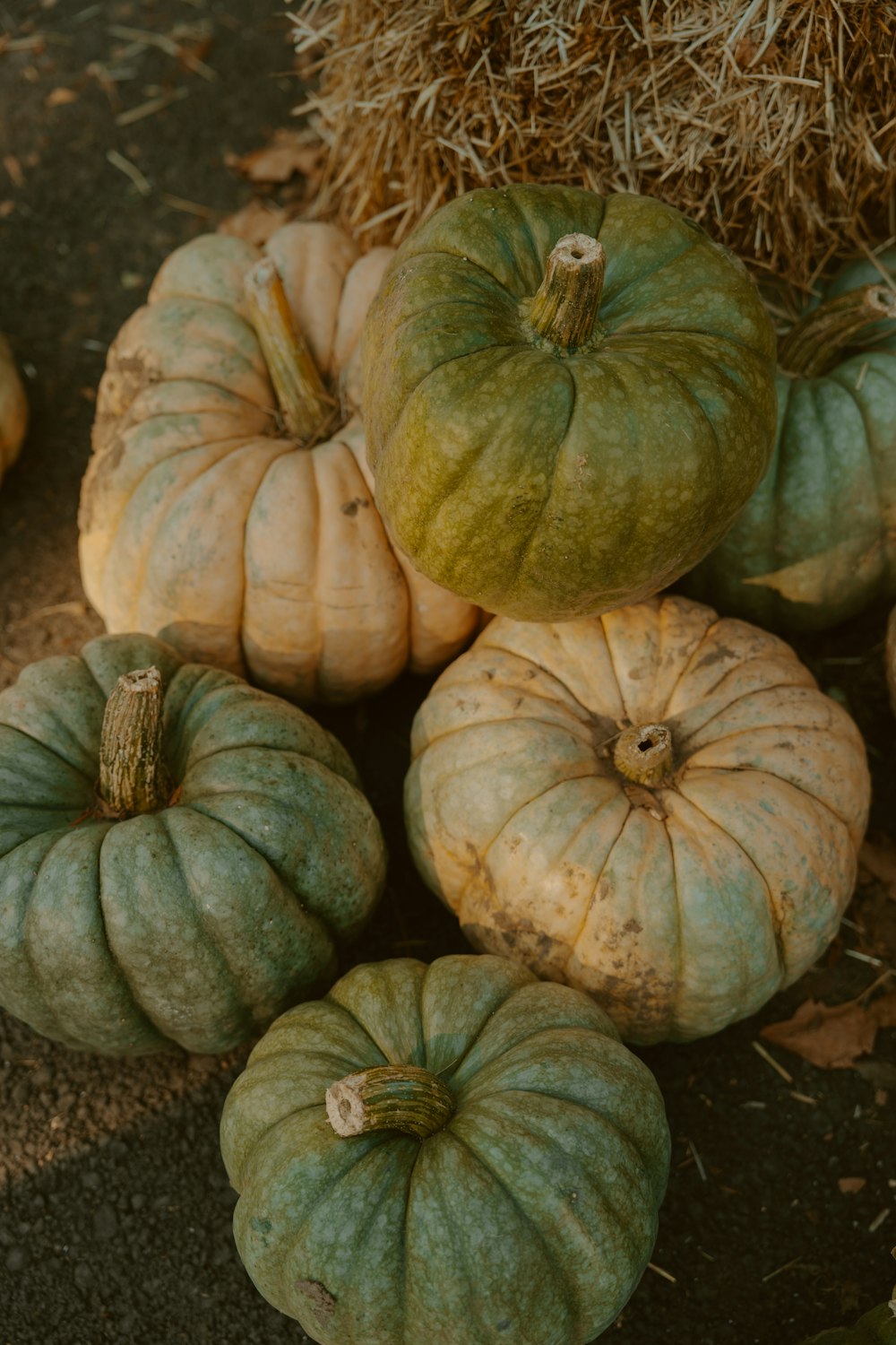 a pile of pumpkins sitting on top of a pile of hay