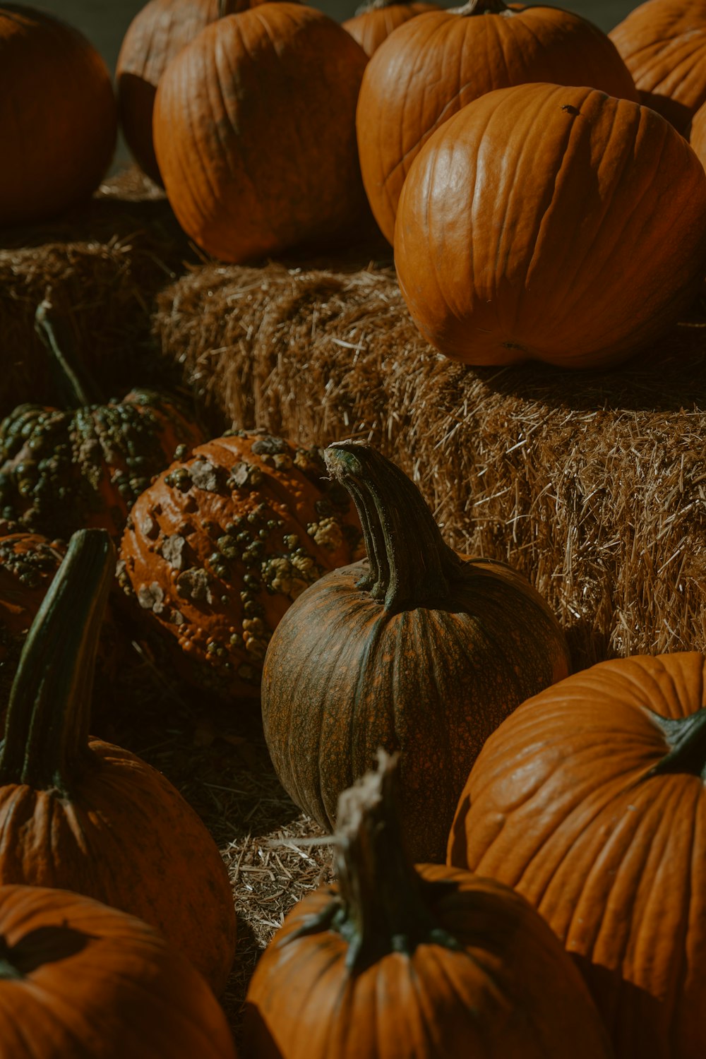 a bunch of pumpkins sitting on hay bales