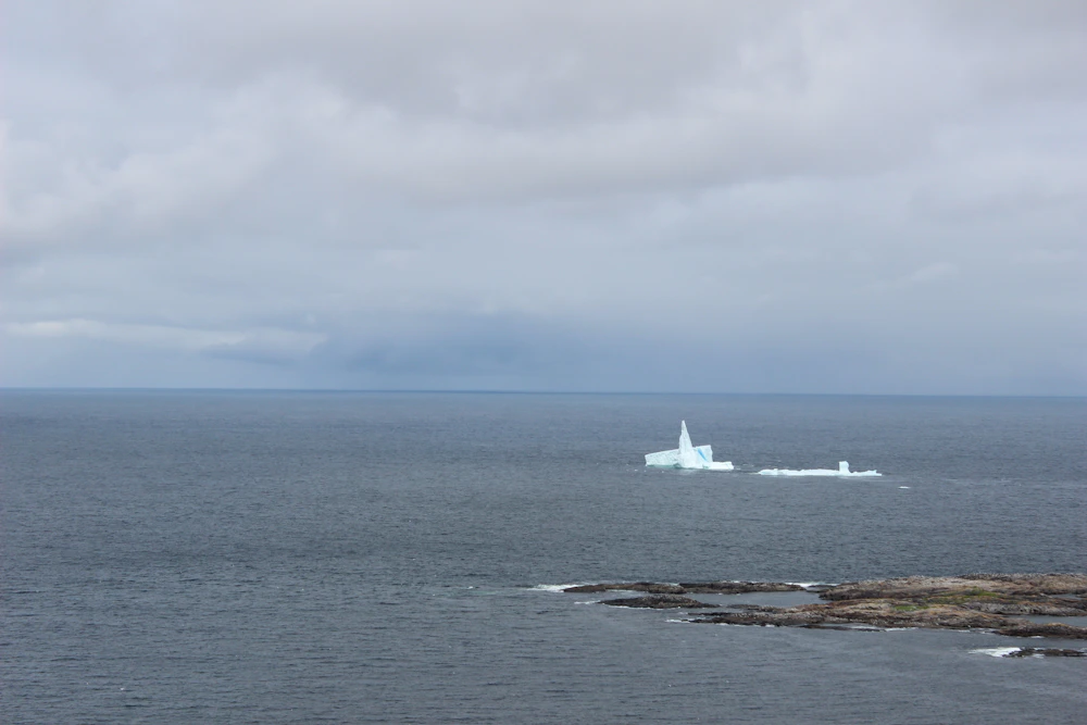 Icebergs drifting off Fogo Island, seen from Brimstone Head