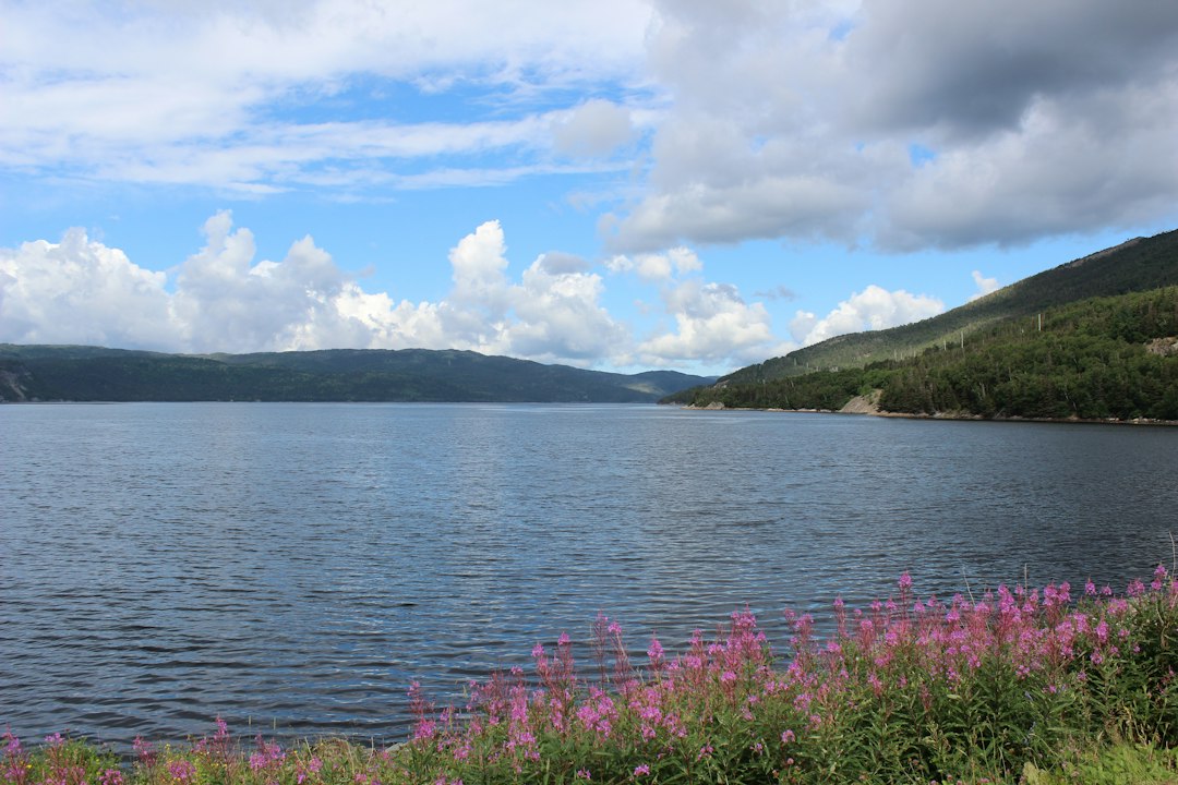7 Unique Ways to Experience Canada's Natural Beauty in Summer 2024… — 7 Unique Ways to Experience…, photo 3