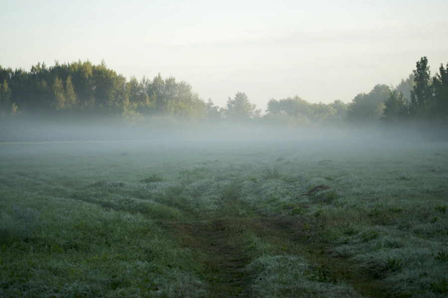 How to Get Rid of Brain Fog: The Science-Backed 2026 Guide