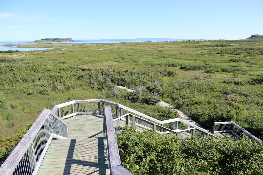 a wooden walkway leading to a grassy field