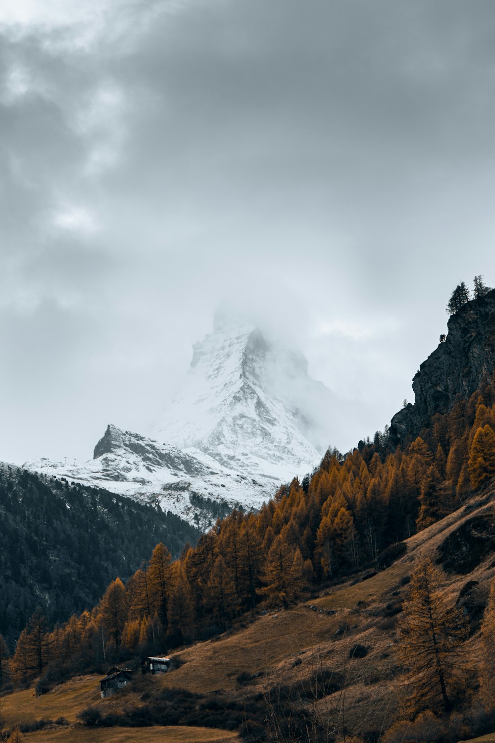 a mountain covered in snow and surrounded by trees