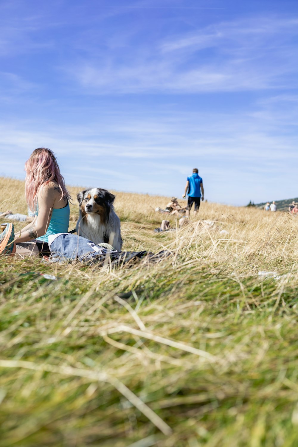 eine frau, die mit einem hund auf einem feld sitzt