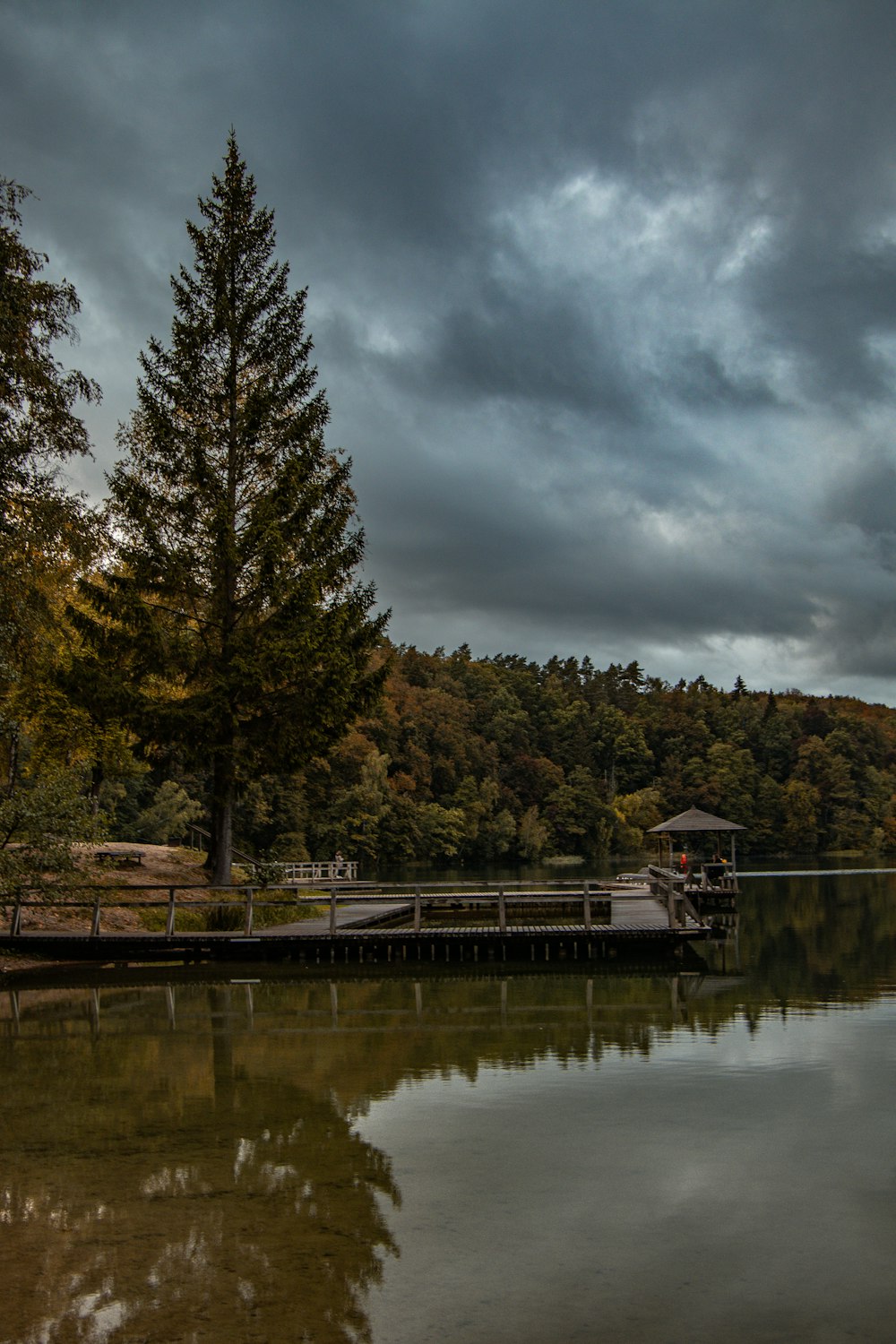 a lake with a dock and a forest in the background