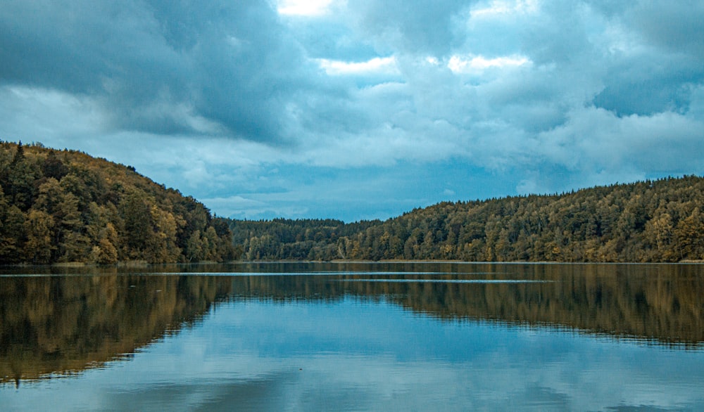 a large body of water surrounded by forest