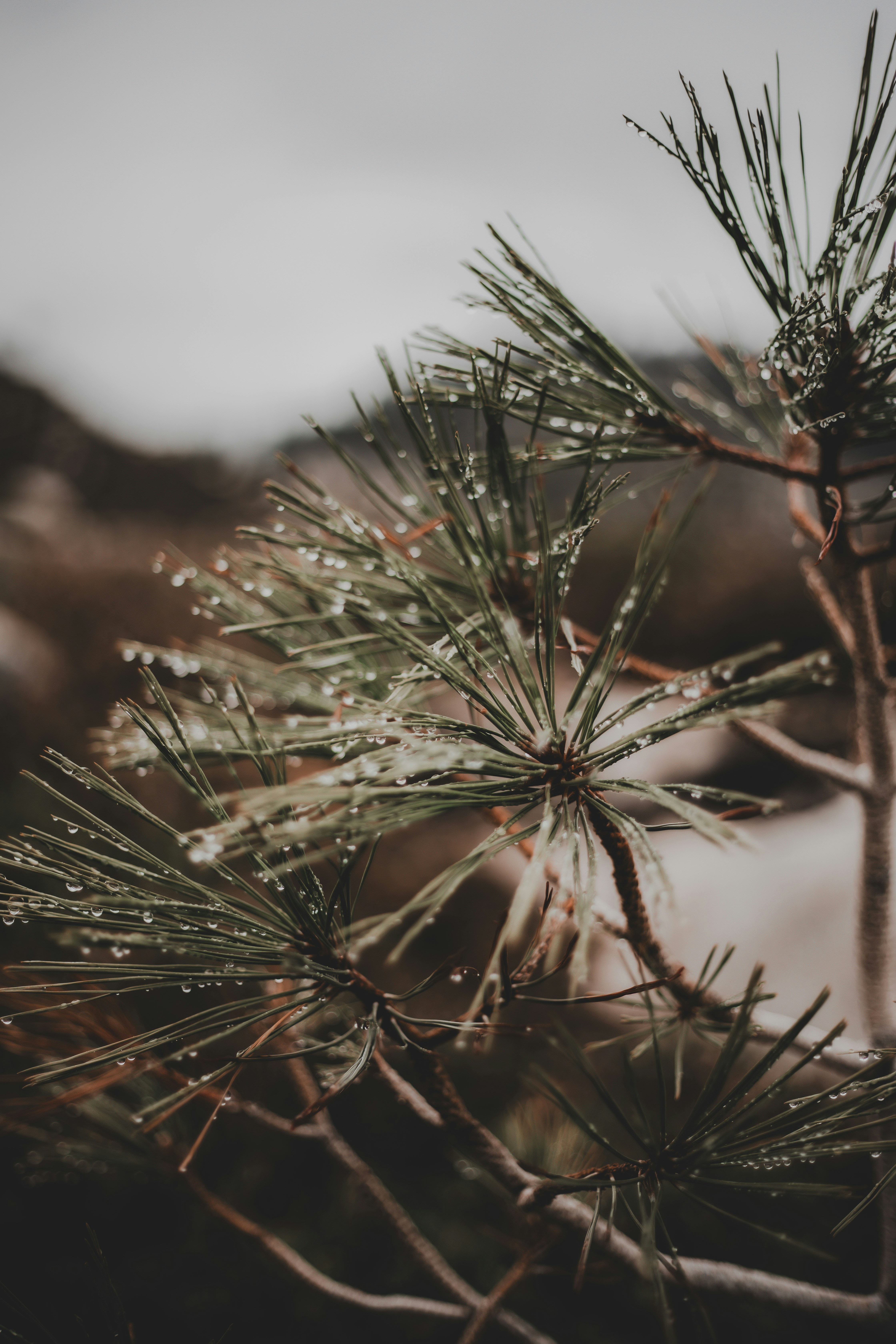 Photo by rachel_joyce