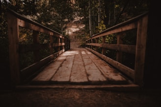 A misty old wooden bridge over a river at dawn, surrounded by dense forest.