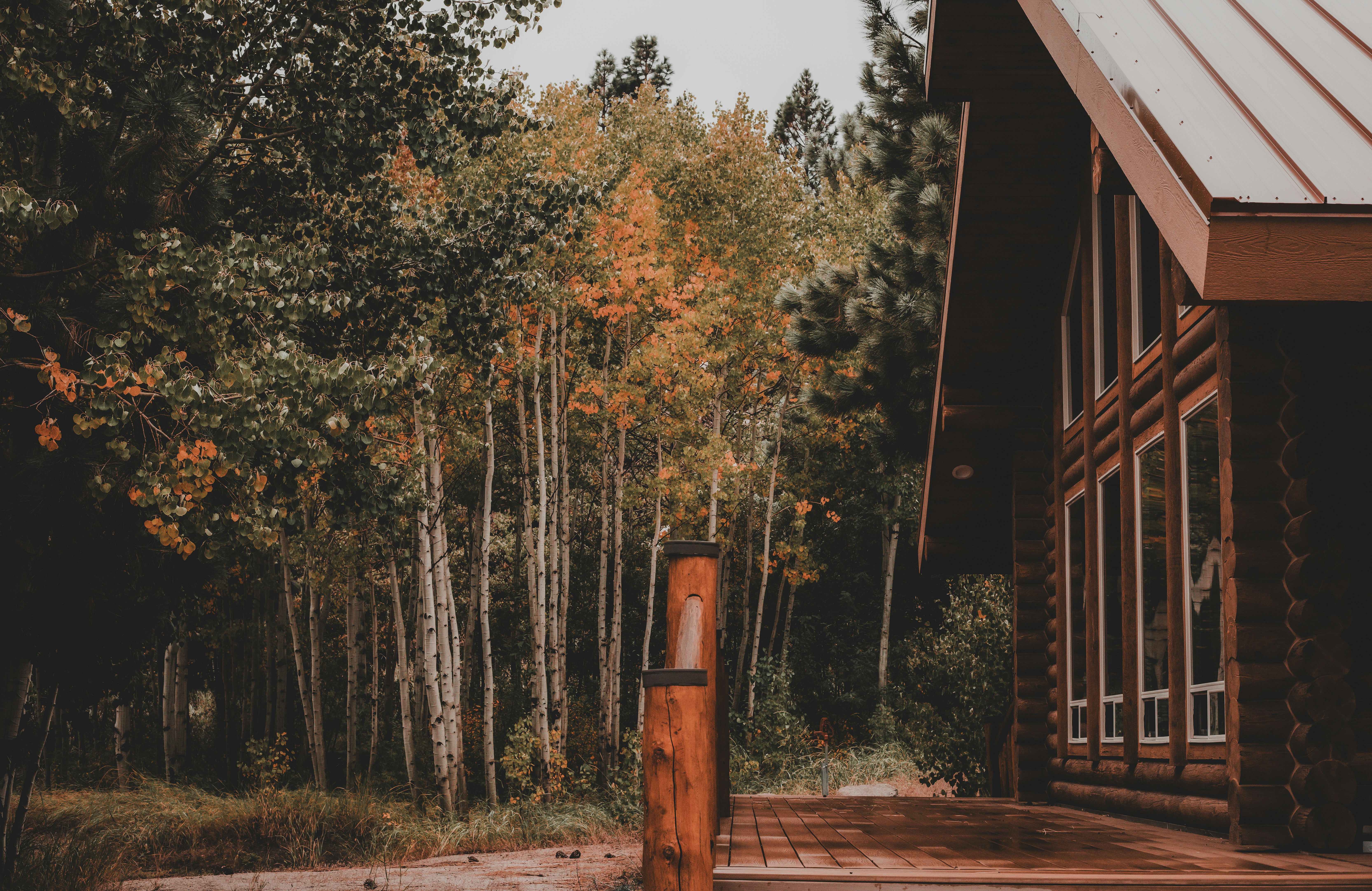 Una cabaña en el bosque con una cubierta de madera