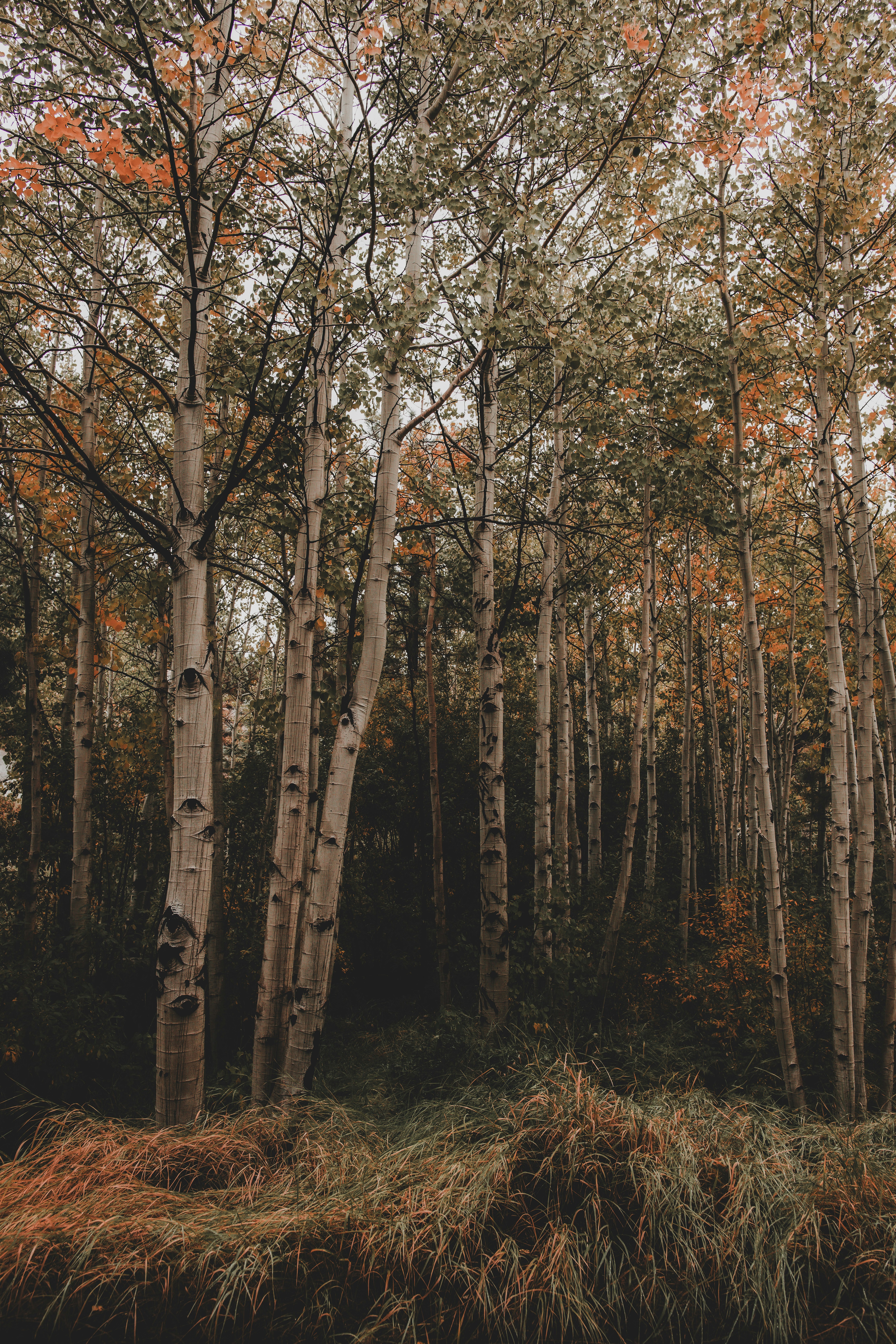 Photo by rachel_joyce